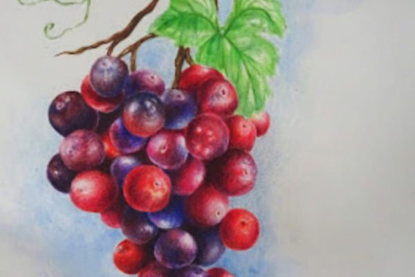 Manasvitha 12 D Nature Study Grapes