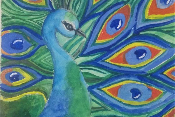 National Bird -Peacock-Smriti Tiwari 8B