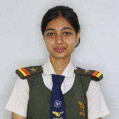 Apurva Srinivas Veeravalli Apurva Srinivas Veeravalli